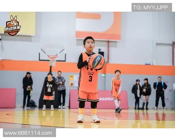 杭州篮球队实力分析与大满贯赛事表现的深度点评